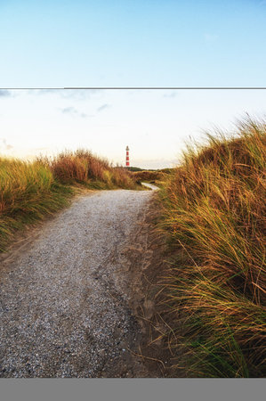Path leading through the dunes to the lighthouse of Ameland, The Netherlandsの写真素材