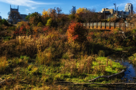 Details in Father Hennepin Bluff Park, Minneapolis,USAの写真素材