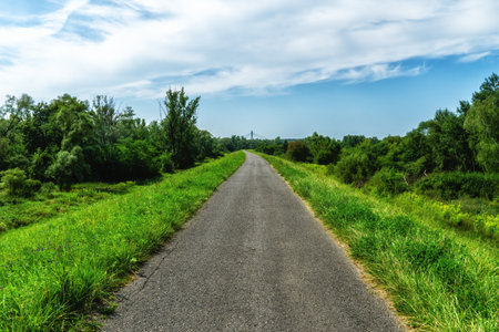 Rural road along Vistula river near Krakow city during spring season, Polandの写真素材