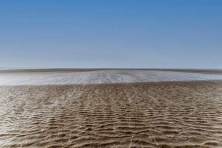 Maritime mudflat landscape with reflection of clouds in low tide water, Waddenzee, Friesland, The Netherlandsの写真素材