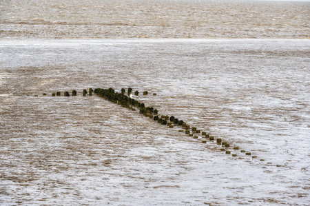 View of the Wadden Sea on the island of Ameland in the Netherlands in Autumnの写真素材
