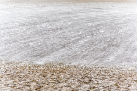 Maritime mudflat landscape with reflection of clouds in low tide water, Waddenzee, Friesland, The Netherlandsの写真素材