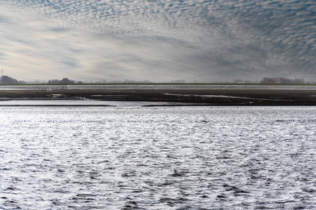 Maritime mudflat landscape in low tide water, Waddenzee, Friesland, The Netherlandsの写真素材
