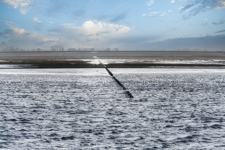 Maritime mudflat landscape in low tide water, Waddenzee, Friesland, The Netherlandsの写真素材
