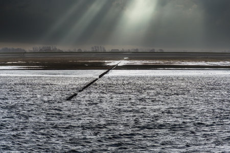 Maritime mudflat landscape in low tide water, Waddenzee, Friesland, The Netherlandsの写真素材
