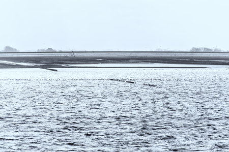 Maritime mudflat landscape in low tide water, Waddenzee, Friesland, The Netherlandsの写真素材