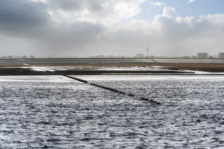 Maritime mudflat landscape in low tide water, Waddenzee, Friesland, The Netherlandsの写真素材