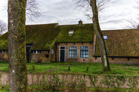 Street with old Dutch commander houses in the town of Ballum on the West-Frisian island Ameland in Autumnのeditorial素材