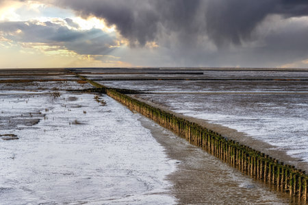 Mudflat of Wadden Sea. UNESCO World Heritage site at Low tide. Ameland, The Netherlands.のeditorial素材