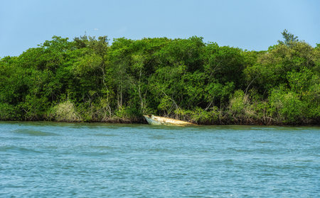 Rosario islands in Cartagena, Colombiaの写真素材