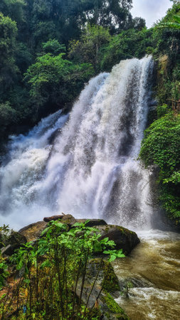 Pha Dok Sieo waterfall, Medium falls in tropical forest. Doi Inthanon national park, Chiang Mai, Thailandの写真素材