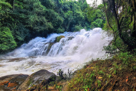 Pha Dok Sieo waterfall, Medium falls in tropical forest. Doi Inthanon national park, Chiang Mai, Thailandの写真素材