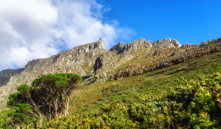 Landscape view of Table Mountain in Cape Town, South Africa. Beautiful scenic popular natural landmark and tourist attraction for hiking and adventure while on a getaway vacation in nature stockの写真素材