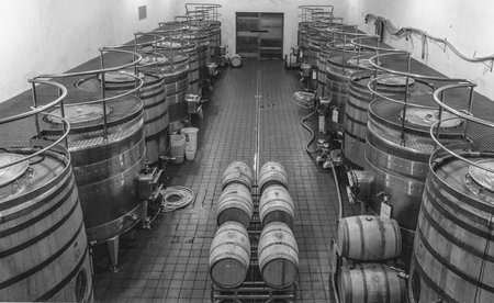 A wine cellar in the village of Franschoek in Cape town South Africaの写真素材