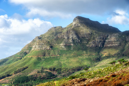 Landscape view of mountains background and blue sky with copy space from green botanical garden and national park. Hiking around Table Mountain in Cape Town, South Africa to discover peace in natureの写真素材
