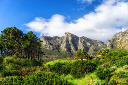 Table Mountain and The twelve apostles - Cape Town, Western Capeの写真素材