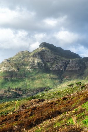 scenic landscape of cloudy sky covering the peak of Table Mountain in Cape Town on a sunny morning from below. Beautiful views of plants and trees around an iconic natural landmarkの写真素材