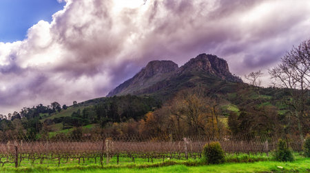 View of a winery with mountains in the background, South Africaの写真素材
