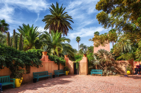 Majorelle Garden in Marrakesh. An oasis in the middle of a bustling city. Marrakesh, Moroccoの写真素材
