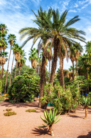 Majorelle Garden in Marrakesh. An oasis in the middle of a bustling city. Marrakesh, Moroccoの写真素材