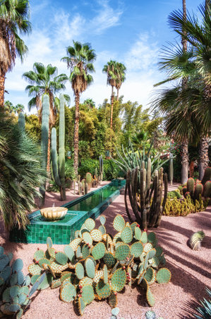 Majorelle Garden in Marrakesh. An oasis in the middle of a bustling city. Marrakesh, Moroccoの写真素材