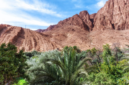 todgha gorge,a canyon in the high atlas mountains in morocco,near the town of tinerhir.