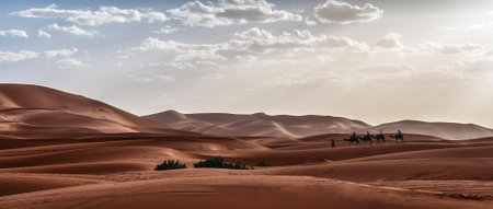 Beautiful panorama of Sahara Desert in Morocco with silhouette of camel caravan.の写真素材