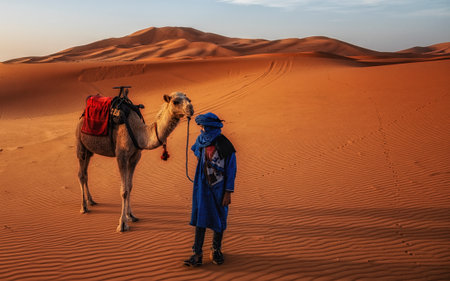 Berber man with camel on the ridge of an orange sand dune in the Erg Chebbi sand sea, Sahara Desert near Merzouga, Morocco, North Africa, Africaのeditorial素材