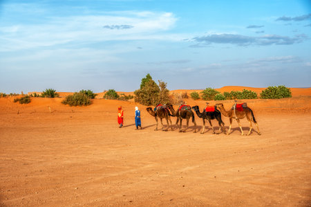 Camel caravan or camel train and berber guide in the Sahara desert, Merzouga, Moroccoのeditorial素材