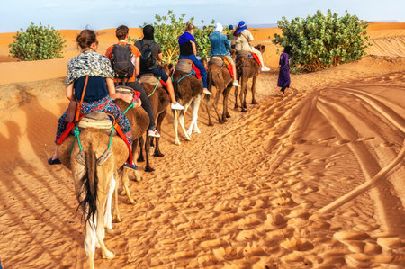 Camel Riding Caravan in the Sahara Desert, Moroccoのeditorial素材