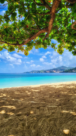 Caribbean. The Island Of Grenada. Grenada is a country and an island located in the southern part of the Antilles, Beautiful View Of Grand Anse In Grenadaの写真素材