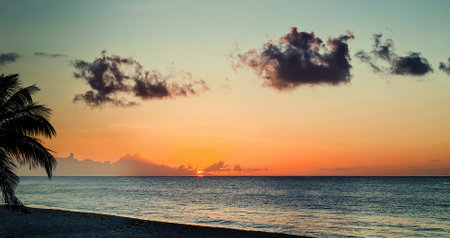Dusk over Grand Anse Beach, St George's, Grenadaの写真素材