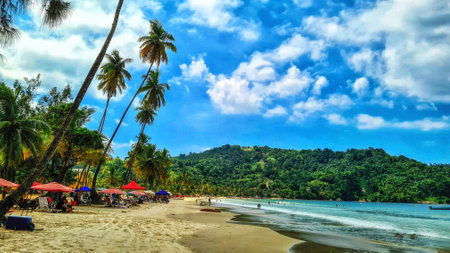 Maracas Beach, Trinidad - coconut trees, blue skies and sandy shoreの写真素材