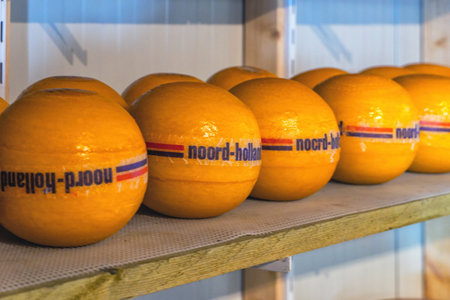 Traditional Dutch cheese displayed for sale in ashop in the Holland. The Netherlands produces a variety of the hard or semi-hard tempting cheesesの写真素材