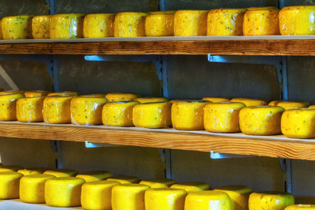Yellow Dutch cheese displayed for sale in the Netherlandsの写真素材