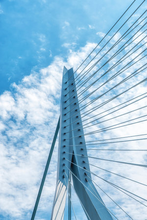 Close-up shot of structural cables of a prominent modern bridge, showcasing advanced engineering and...