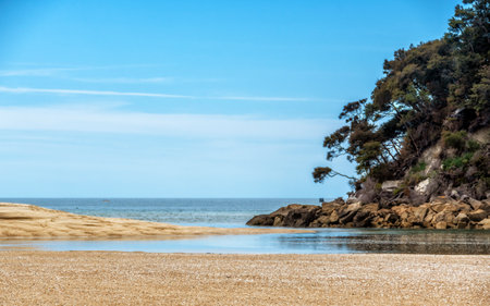 The beach at low tide in Torrent Bay, Abel Tasman National Park, New Zealand.の写真素材