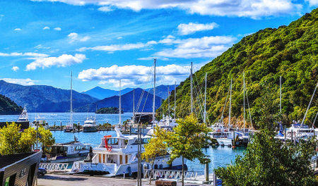 The view out into the bay from the Picton waterfront is beautiful, and is a scenic place to wait for the ferry. Picton, New Zealandの写真素材