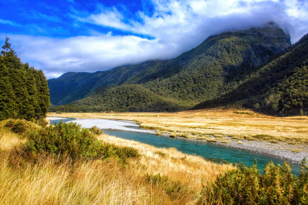 New Zealand, South Island, West Coast Region, Mount Aspiring National Parkの写真素材