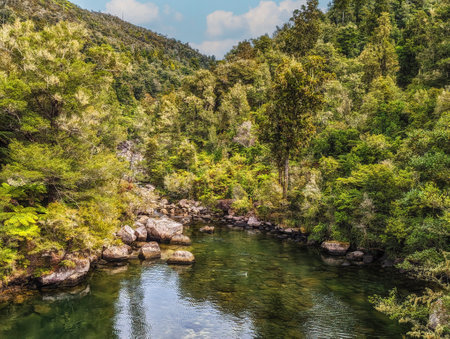 Falls River in Abel Tasman National Park, New Zealandの写真素材