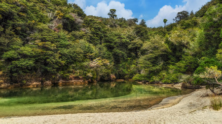 Landscape with rocks, sand beach and lush rain forest vegetation, shot in bright spring light at Abel Tasman park, South Island, New Zealandの写真素材