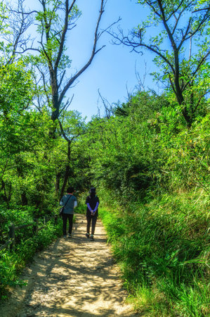 Mountain Hiking trail in Seoul, South Koreaの写真素材
