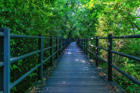 Mountain Hiking trail in Seoul, South Koreaの写真素材