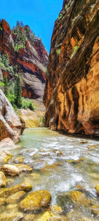 River at Zion National Park. Exploring the beauty of the Narrows and the beautiful canyons of the narrowsの写真素材