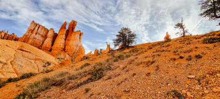 Bryce Canyon landscape along Navajo Loop hiking trail, Bryce Canyon national park, Utah, USA.