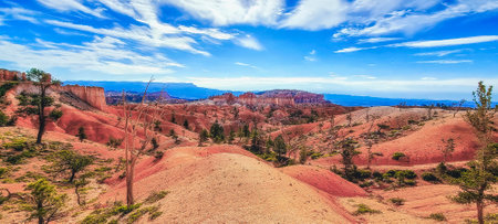 Scenic views of the Bryce Canyon National Park, located Utah, in the Southwestern United States.の写真素材