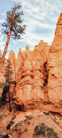 Switchback hiking trail through Bryce Canyon in Utah, USAの写真素材