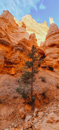 Switchback hiking trail through Bryce Canyon in Utah, USAの写真素材