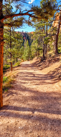 View of the beautiful red sandstone scenery and jagged peaks on the Navajo Loop Trail in Bryce National Park, Utah, USAの写真素材