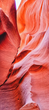 Beauty of eroded Navajo Sandstone in the Antelope Canyon, a slot canyon in Arizona, USA, Page, Arizona, United States of Americaの写真素材